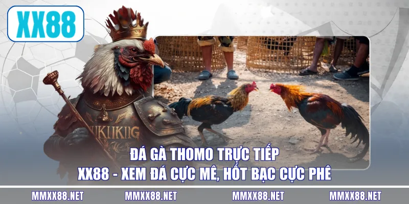 Đá Gà Thomo Trực Tiếp XX88 - Xem Đá Cực Mê, Hốt Bạc Cực Phê