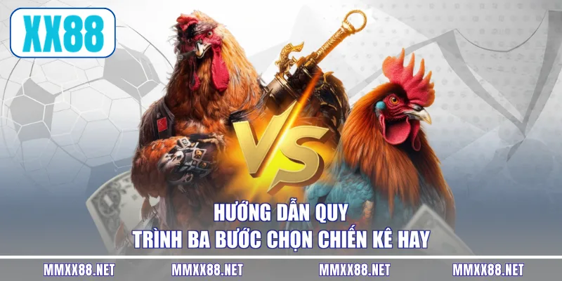 Hướng dẫn quy trình ba bước chọn chiến kê hay 