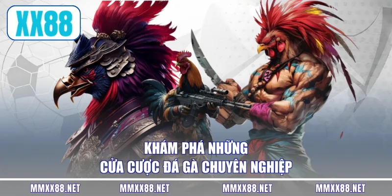 Khám phá những cửa cược đá gà chuyên nghiệp