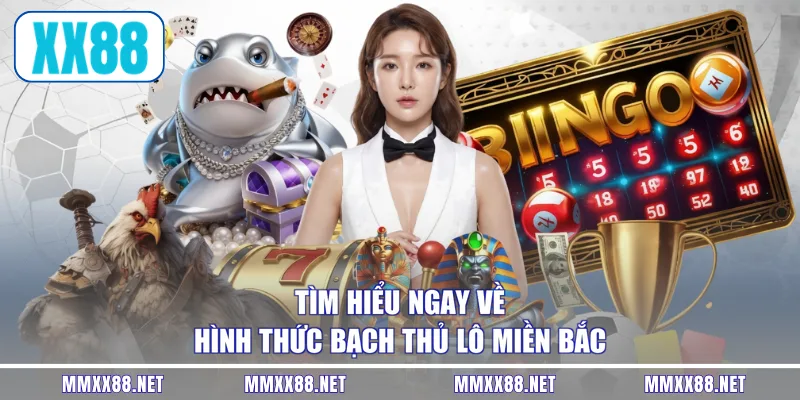 Tìm hiểu ngay về hình thức bạch thủ lô miền Bắc