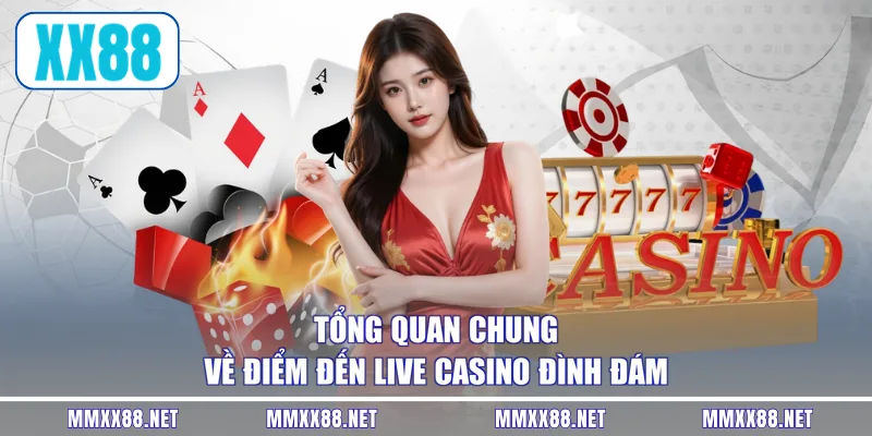 Tổng quan chung về điểm đến live casino đình đám