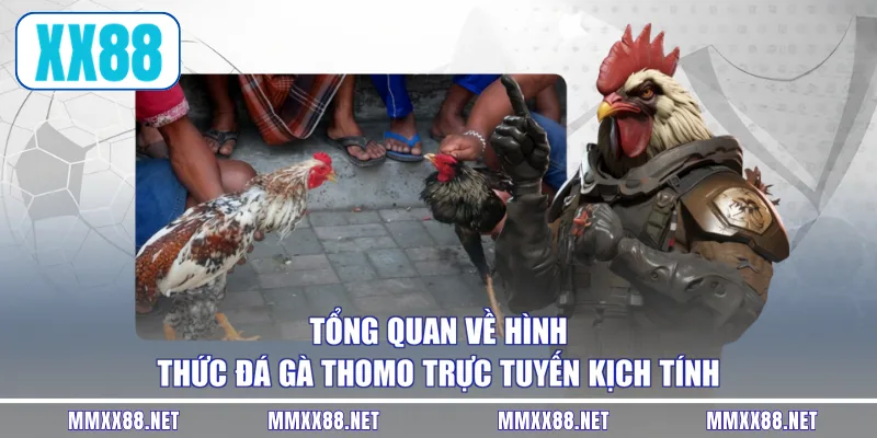 Tổng quan về hình thức đá gà Thomo trực tuyến kịch tính
